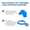 PetSafe Martingale Dog Collar with Quick-Snap Buckle - Petite, 3/8