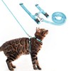 PUPTECK Adjustable Cat Harness and Leash Set Escape Proof Kitten
