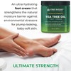 First Botanicals Athlete's Foot Cream with Tea Tree Oil Aloe