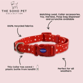ANCOL Patterned Collar S (20-30cm) - Small Dog Collar - Heavy Duty Puppy Collars - Soft Dog Collars For Small Dogs - Adjustable Dog Collar Small Dog - Collar For Dogs (Polka Dot)