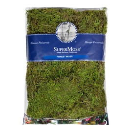 SuperMoss Forest Moss Preserved Lasting Decorative Long Fibers for Potted Plants and Crafts, Fresh Green