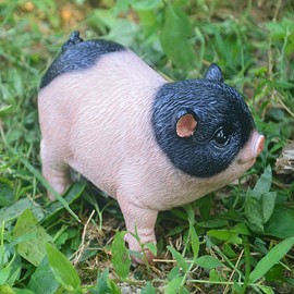 Pig Small Pig Statue for Garden Pig Resin Garden Animal Decoration Resin Small Pig Animal Figures Outdoor Sculptures Main Decoration Lawn Garden Patio Statue Ornaments