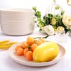 LIYH 20pcs Wheat Straw Plates 9Inch, Beige Reusable Plastic Plates,
