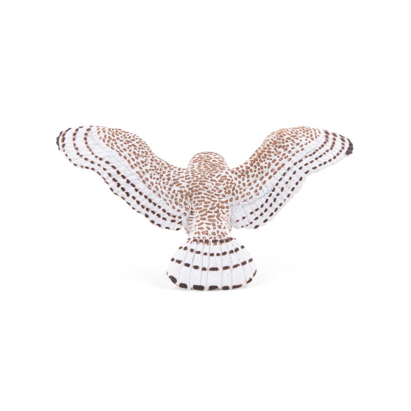 PAPO Flying Owl