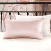 LILYSILK 1PC Silk Pillowcase for Hair and Skin 19 Momme