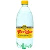 Topo Chico Mineral Water 12pack, 600ml/PET, Standard