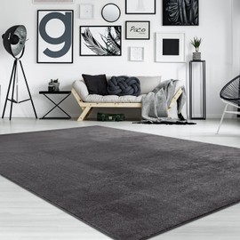 Paco Home Soft Washable Area Rug in Dark Grey Anthracite Cozy Anti-Slip Solid Color, Size: 2'8" x 4'11"