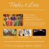 Timber & Lace Cedarwood & Citrus Hand-Dipped Charcoal Incense Sticks