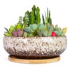 ARTKETTY Succulent Pots - 7.5 Inch Large Plant Pot with