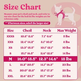 rabbitgoo Small Dog Harness, Step-in Soft Mesh Puppy Vest, Easy Walk with Safety Buckle, Breathable Reflective Pet Harness for Small Sized Dogs, Rose Red M