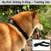Waterproof Dog Collar, Odor-Proof and Easy to Clean Rubber Dog