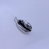 jewellerybox Sterling Silver Cowrie Shell Charm