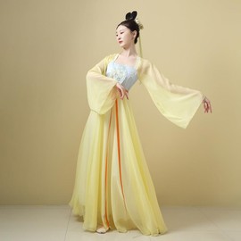 Chinese Hanfu Costume Tang Dynasty for Women Classical Dance Costume Dance Skirts Embroidery Top Chinese Style Clothes Yellow
