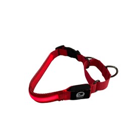 Light-Up Martingale Training Adjustable Dog Collar – Waterproof, LED Illuminated, USB Rechargeable, Reflective Safety, Durable Nylon (Red, Medium)