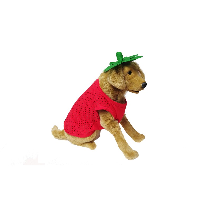 Midlee Strawberry Dog Costume