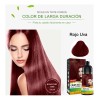 Shampoo Tinte Cubre Canas Rojo Uva Herbishh 500ml
