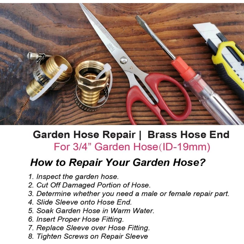 Plg Brass 3/4" Hose Repair Connector with Clamps, Male and