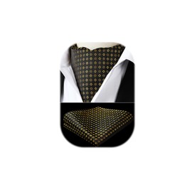 HISDERN Men's Tie Scarf Floral Paisley Ascot Tie Wedding Business Neckerchief and Pocket Square Set, black/gold
