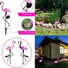 Peacock Solar Garden Light for Outdoor Decor – IP65 LED