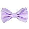 Alizeal Mens Solid Color Adjustable Bow Ties, Lilac