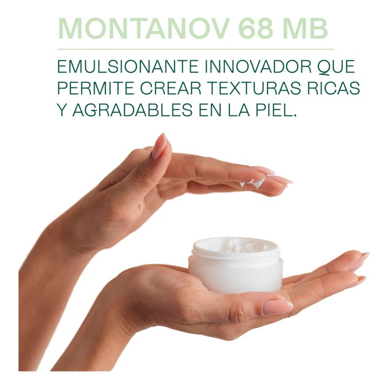 Emulsionante Natural Montanov Ludika 100g Cremas Protectores