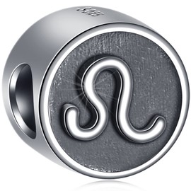 GLOWDAS Zodiac Charms Fit European Birthday Bracelet, Antique 925 Sterling Silver 12 Constellation Charm Beads, Gifts for Family/Lover/Friends, Sterling Silver, No Gemstone