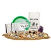 Kolt Mining Activity Dig Kit – Mother Lode Includes Fossils,