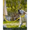 Joytale Dog Lead for Large and Medium Dogs, Double-Sided Reflective