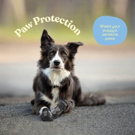 Waterproof Dog Shoes - Stylish Designed Shoes for Dogs - Dog Boots with Non-Slip Rubber Bottom Protects Paw from Hot or Cold Pavement, Dog Booties with Reflective Straps for Dogs Safety, Puppy Shoes.