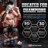 COMBATIX – Premium Creatine Monohydrate + Electrolytes Powder 324g –