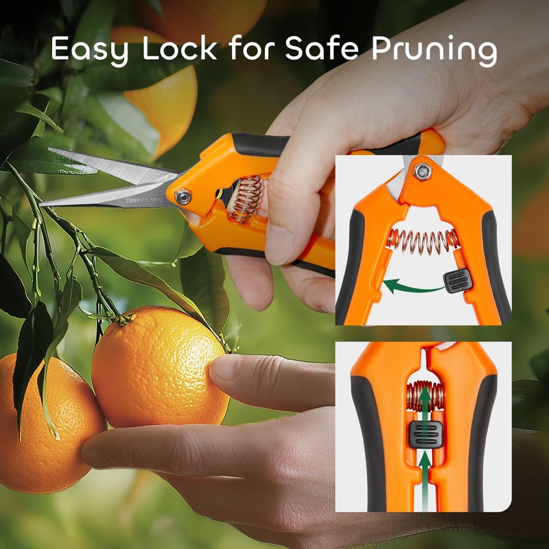 GROWNEER 3 Packs 6.5 Inch Pruning Shears Gardening Hand Pruning