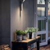 Flower Pot Diversion Safe with Plants, Planter with Hidden Safe