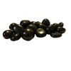 1/2 lb Shungite Tumbled Stones - Premium Quality, Healing Stones