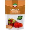 Chaga orgánico en polvo 120g – Potente antioxidante Sabia Madre