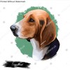 Trigg Hound Puppy isolated digital art illustration. Hand drawn dog