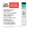 L'Oreal Paris Magic Root Rescue 10 Minute Root Hair Coloring
