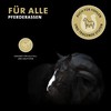 Peticare Anti-Parasite Horse Shampoo | Against Mites Fleas Fungi |