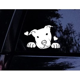 Pitbull Decal - Peeking Peek a Boo Head Tilt Pit Face - Pit Bull Dog Car Decal, Laptop Decal, Car Window Sticker (9")