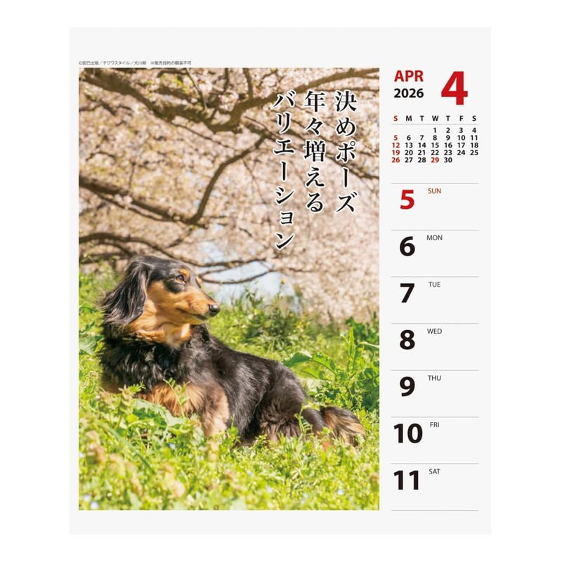 2026 Calendar Ducks Senryu (Weekly Turning)