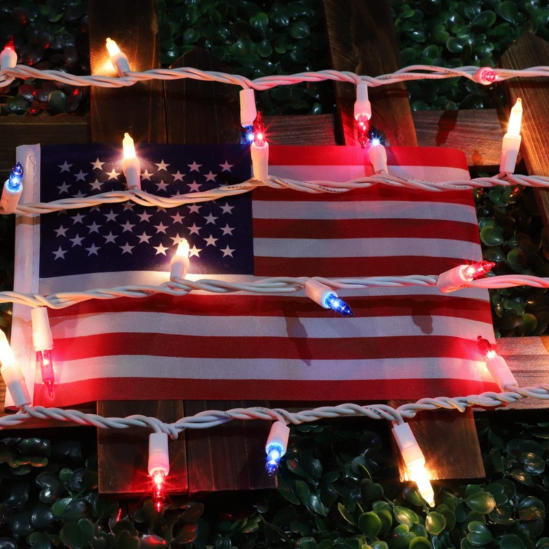 LAMPHOME Patriotic String Lights - Red White Blue Mini Lights