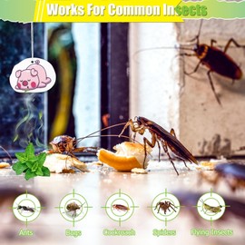 16 oz Pest Peppermint Oil Repellent Spray to Repel Spiders, Mice, Rat, Ants, Natural Spray for Bugs and Insects, Powerful Spider Repellent for Indoors & Outdoors