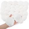 HOHUCRAB 30pcs 2-3inch Scallop Shells, Natural Scallop Shells, Sea Shells