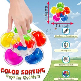 Colour Sorting Toys for Toddlers 3-6 Year Old Toddler Sensory Fidget Toys for Autism Fine Motor Skills Toys Age 3 4 5 Boys Girls Color Match Games Gifts for Boys Girls Age 3+ (C2)