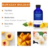 Xcleen Reed Diffuser Set for Home| 3.7 Oz(110ml) Hawaiian Holiday