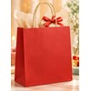 Kraft Paper Gift Bags with Handles for Party Favors –