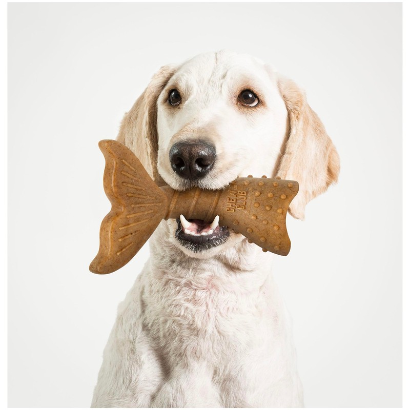 Power Bone Pet Chew Toy for Dogs - Durable, Non