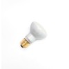 100W Lava Lamp Light Bulb 100 watt 125 Volt R