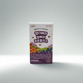 Myny Elderberry Bilberry Propolis 12g x 30 packets / 엘더베리 빌베리 프로폴리스 12g x 30포