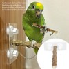 25CM Parrots Outdoor Portable Wood Standing Rod Pet Bird Shower