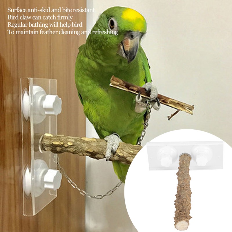 25CM Parrots Outdoor Portable Wood Standing Rod Pet Bird Shower